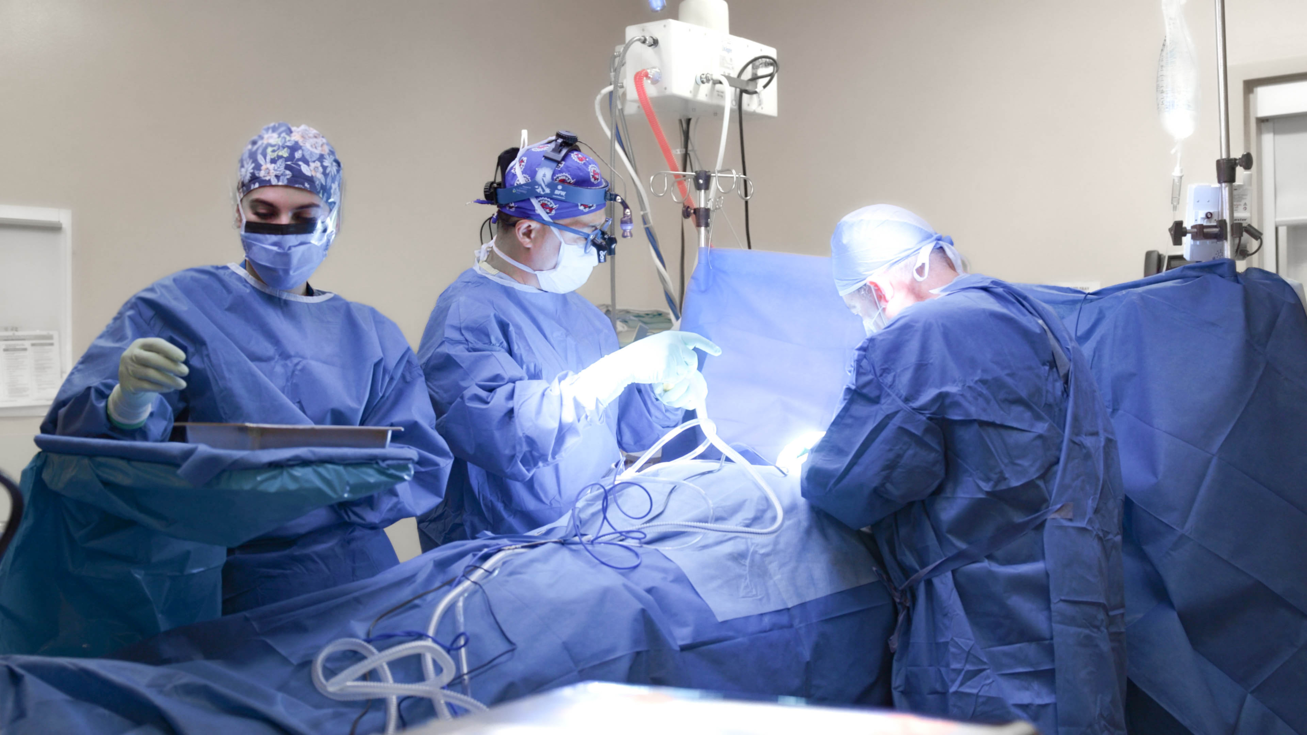 Surgical Oncology Team At Work